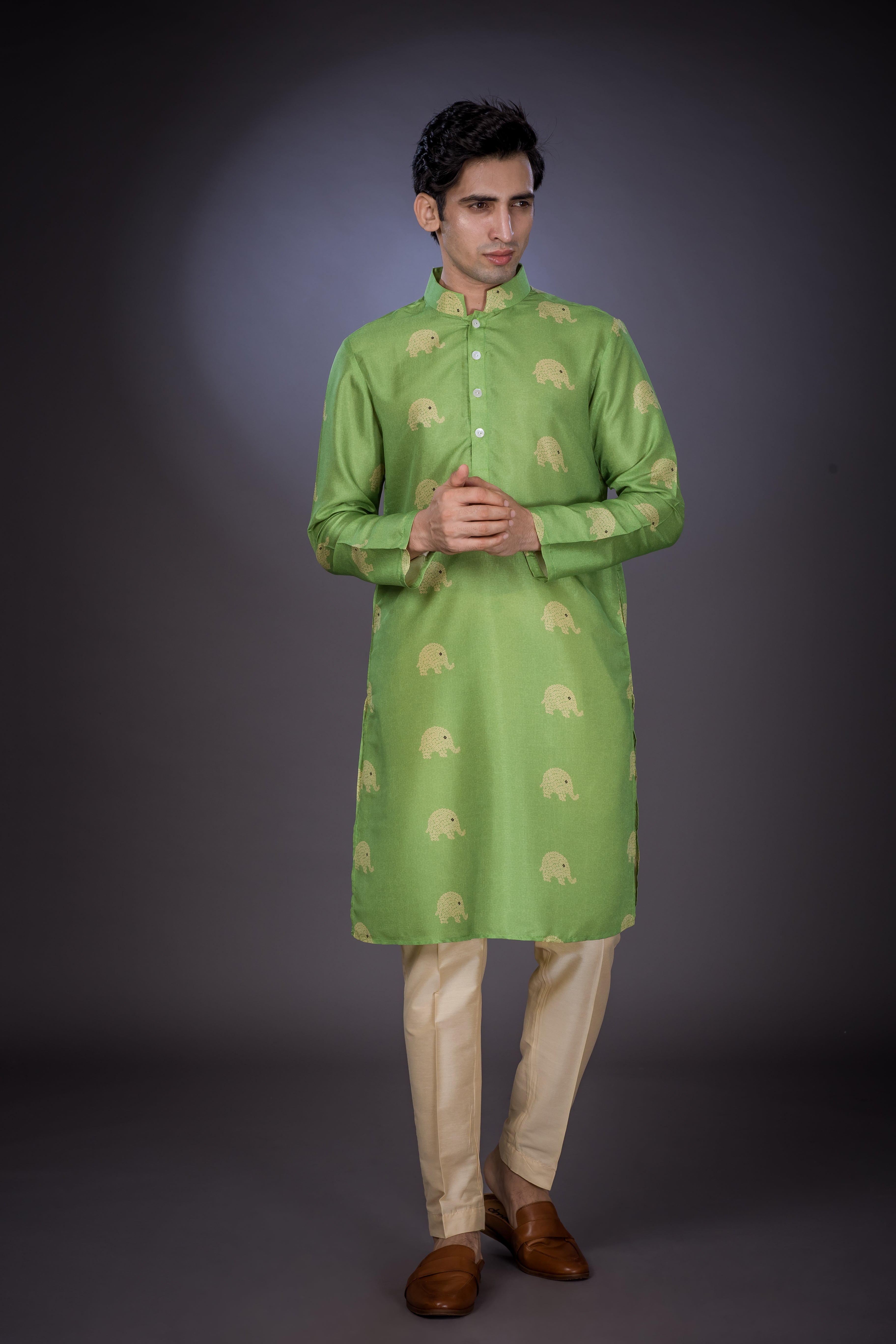 Elephant Line -  Silk Kurta