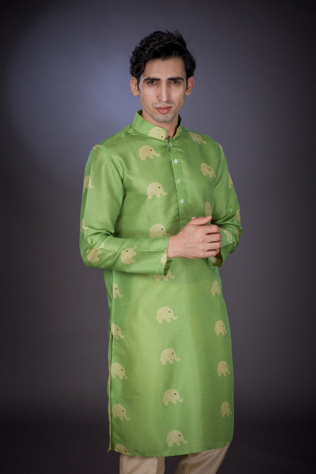 Elephant Line -  Silk Kurta