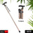 Collapsible walking cane with comfortable T handles, suitable for men and women.