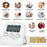 Digital timer for kitchen and study
