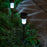 Functional LED solar spike light for brightening garden and walkway.