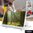 Smartphone Projector Screen 
