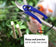 Ergonomic stainless steel garden scissors for easy handling