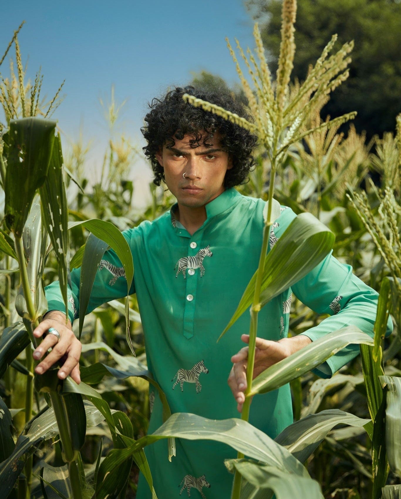 Zebra Meadow  - Silk Kurta
